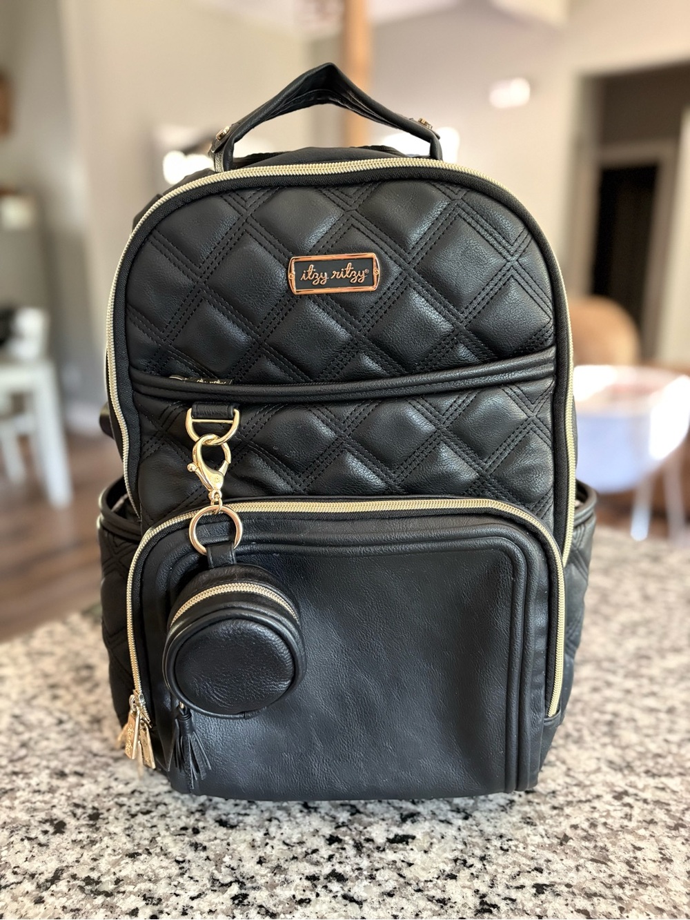 Itzy Ritzy Boss Plus Diaper Bag